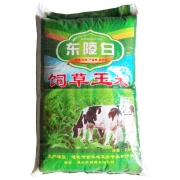 农资供销农作物种植专用东陵白饲料玉米25kg/袋